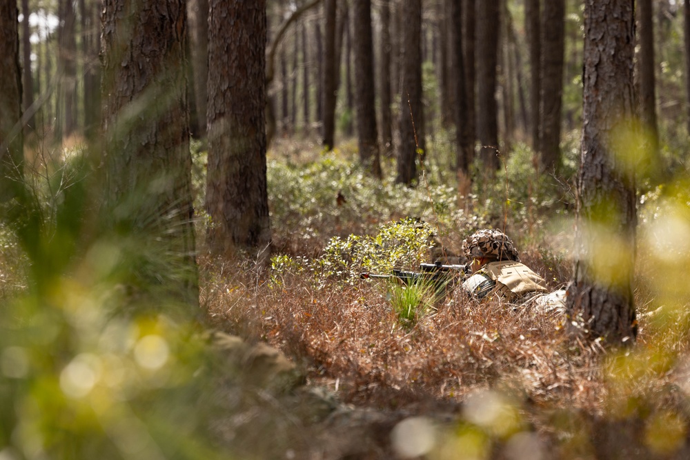 4th Marine Division Rifle Squad Competition 2024 - Day 1