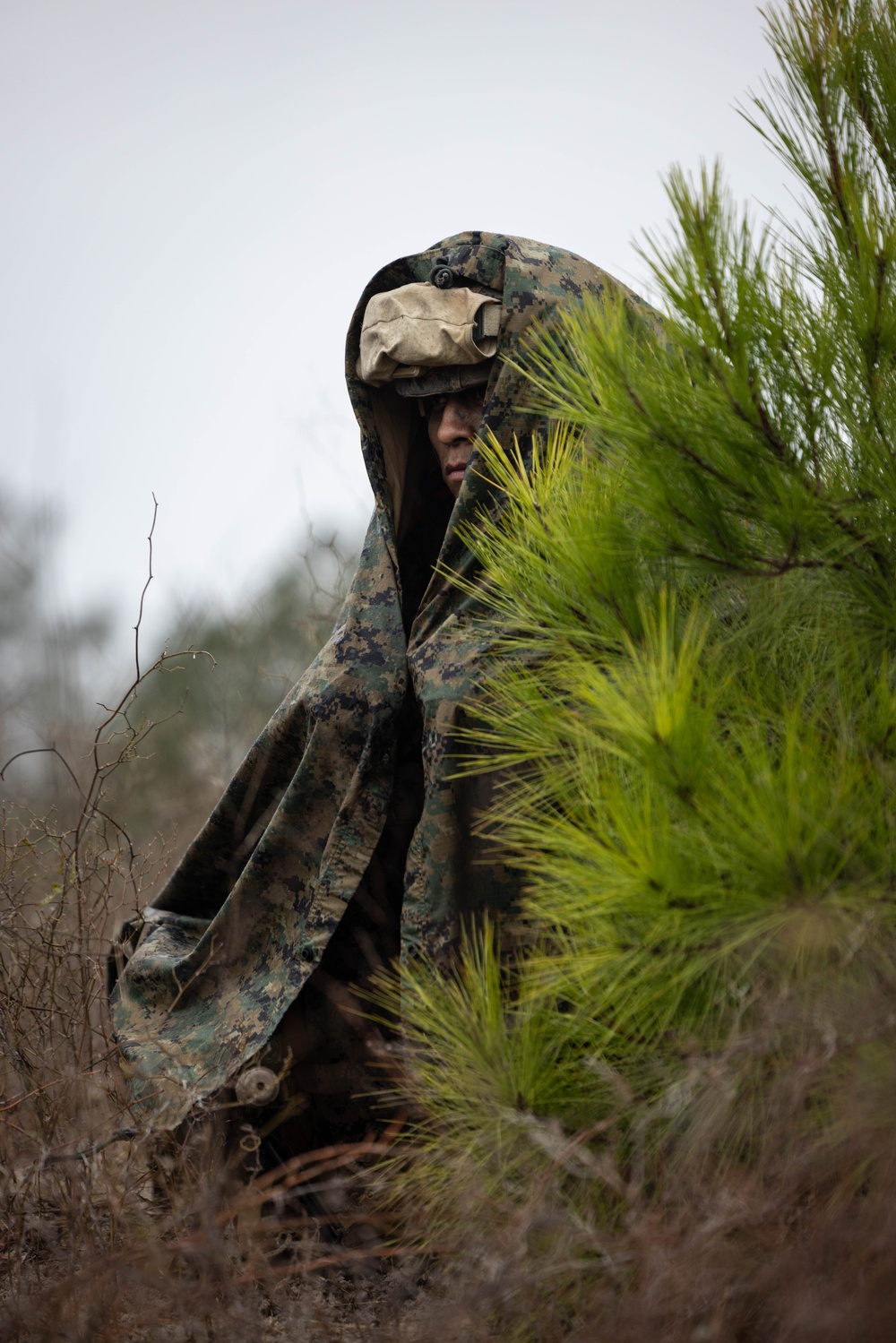 4th Marine Division Rifle Squad Competition 2024 - Day 2