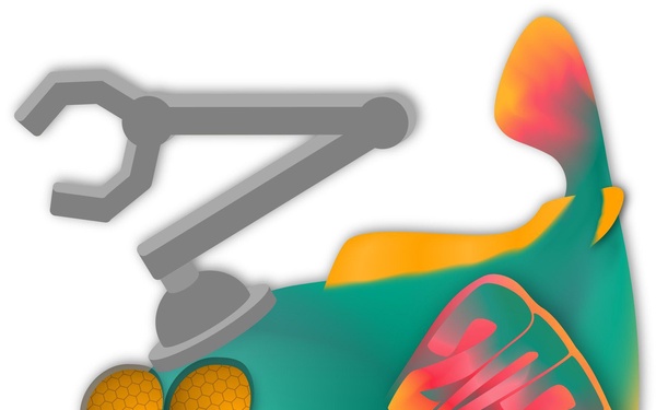 NIWC Pacific collaborates on potential of AI for maritime security, defense