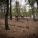 104th Engineer Breaching Drills