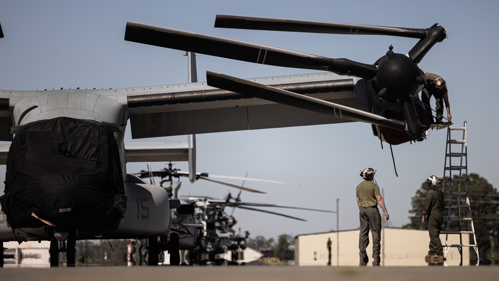 VMM-365 (REIN) MV-22 Osprey Prepares to Return to Flight Operations