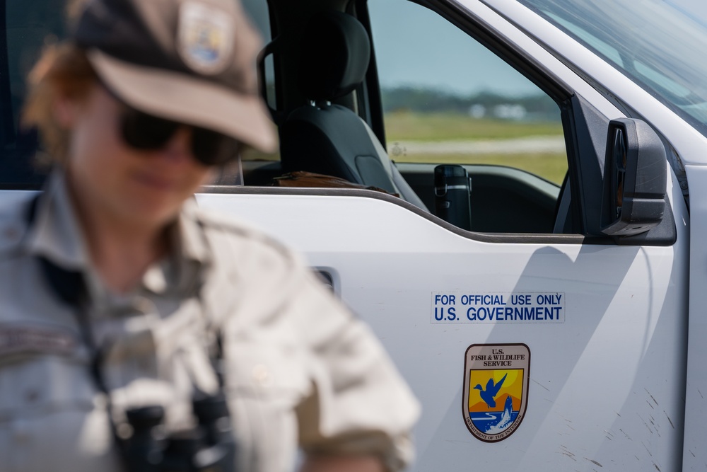 Burrowing owl released at MacDill