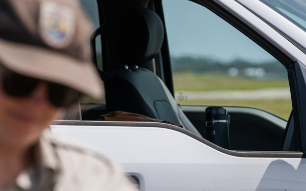 Burrowing owl released at MacDill