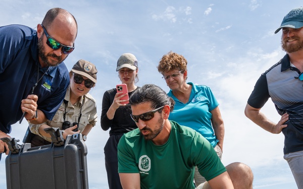 Burrowing owl released at MacDill