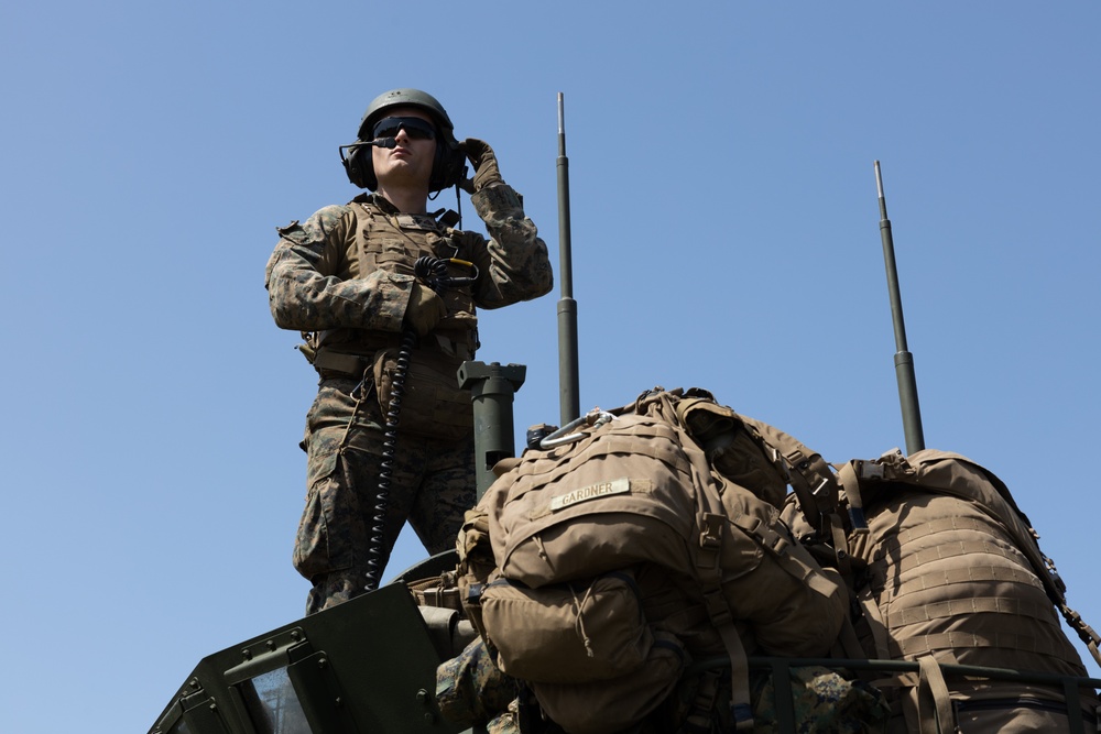 Iron Fist 24: Amphibious Landing Exercise, Light Armored Vehicle Support