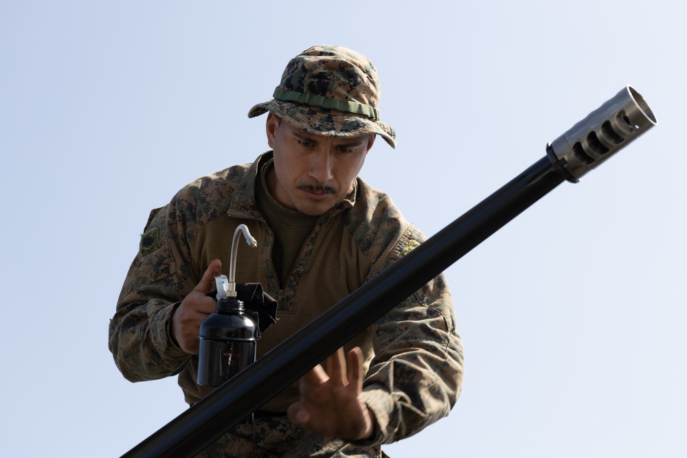 Iron Fist 24: Amphibious Landing Exercise, Light Armored Vehicle Support