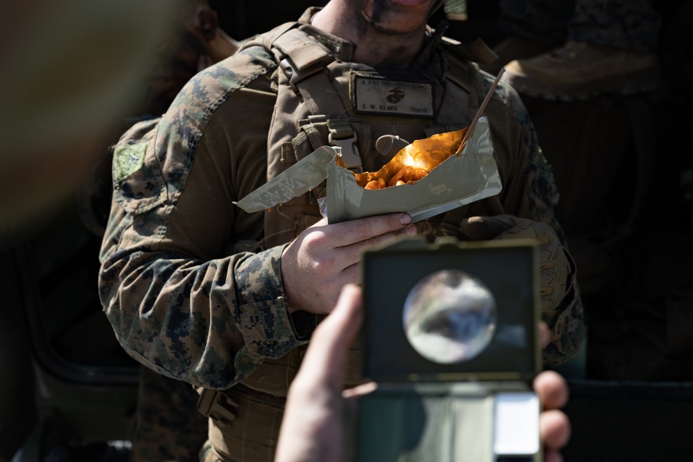 Iron Fist 24: Amphibious Landing Exercise, Light Armored Vehicle Support