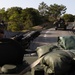 Iron Fist 24: Amphibious Landing Exercise, Light Armored Vehicle Support