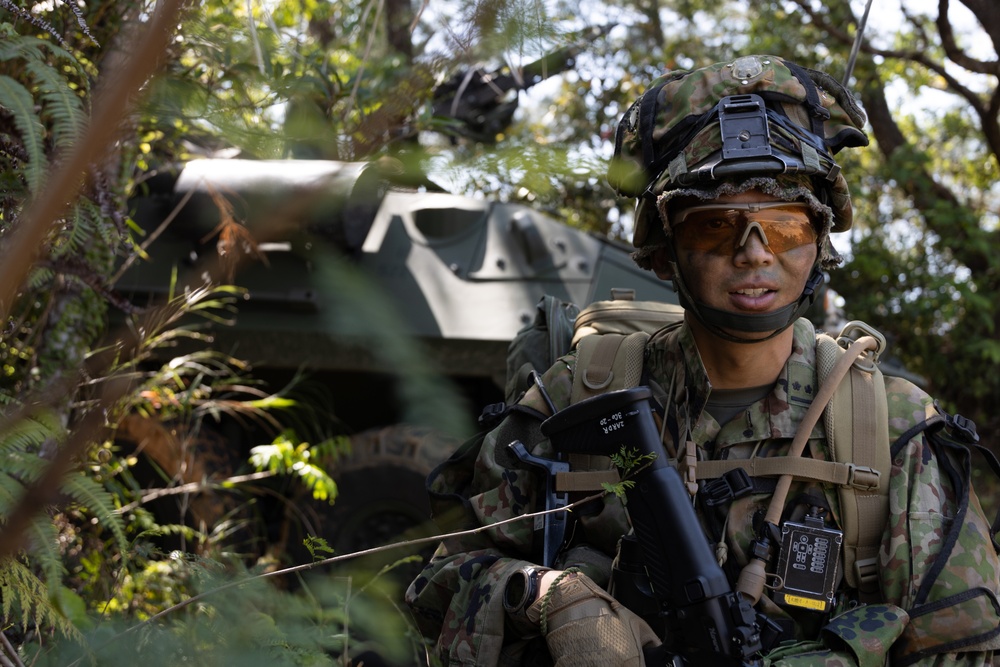 Iron Fist 24: Amphibious Landing Exercise, Light Armored Vehicle Support