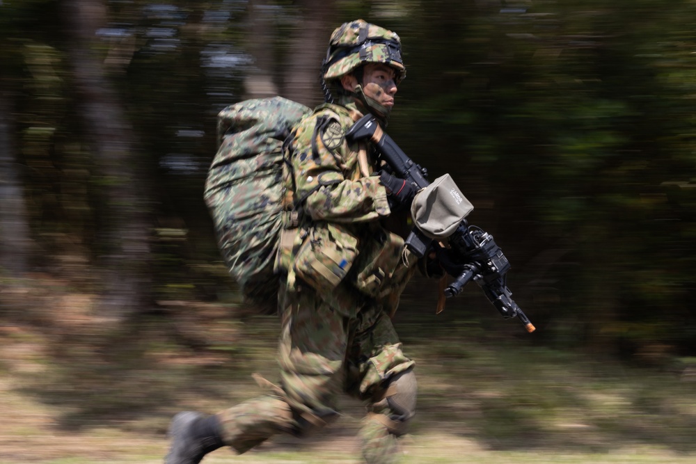 Iron Fist 24: Amphibious Landing Exercise, Light Armored Vehicle Support