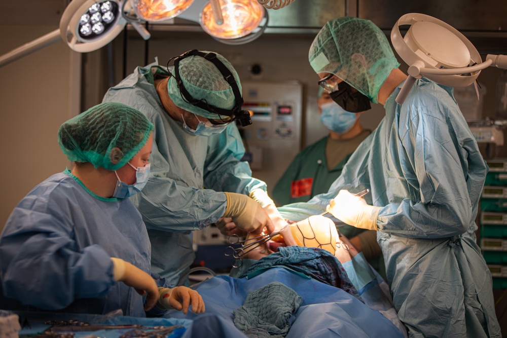 Bundeswehr performs simulated medical operation Allied Spirit 24