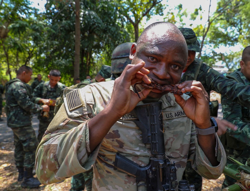 U.S. Army Soldiers learn Jungle Survival tactics