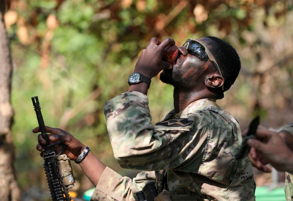 U.S. Army soldiers learn jungle survival tactics