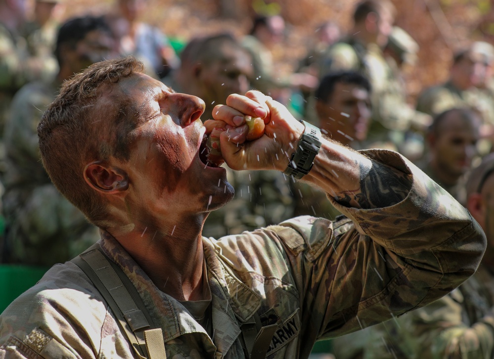 U.S. Army soldiers learn jungle survival tactics