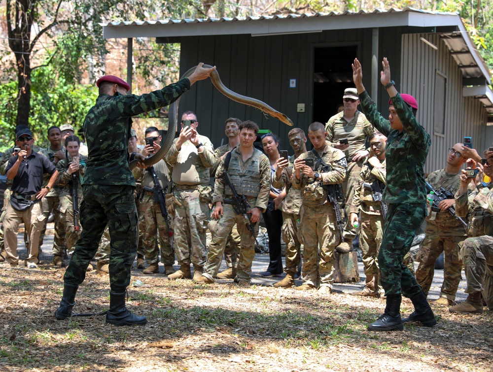 U.S. Army soldiers learn jungle survival tactics