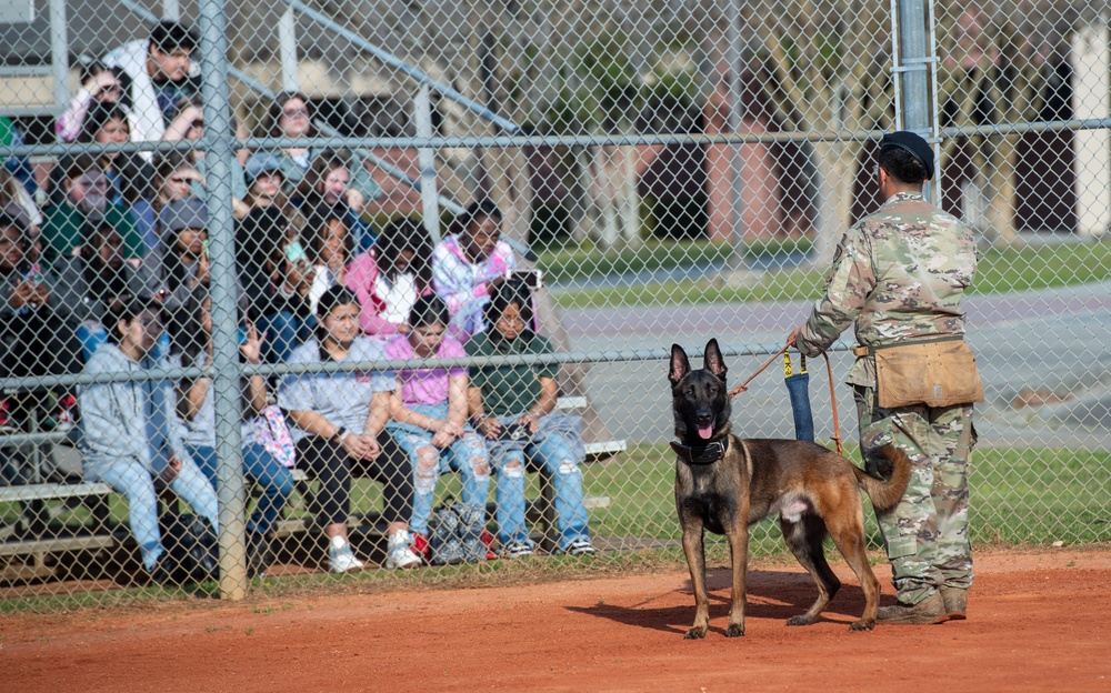 Military Working Dog Training Demonstration