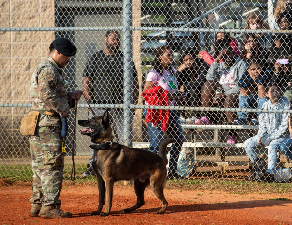 Military Working Dog Training Demonstration