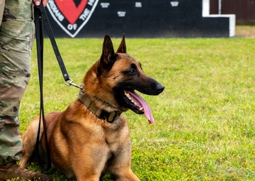 81st FSS and NCBC host demonstration for National K-9 Veterans Day.