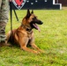 81st FSS and NCBC host demonstration for National K-9 Veterans Day.