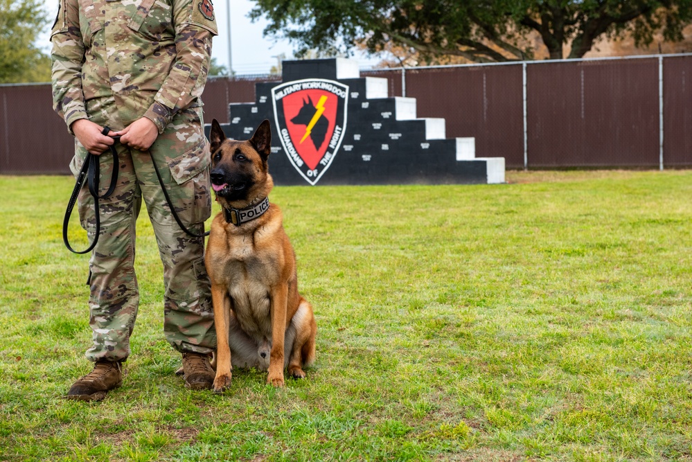81st FSS and NCBC host demonstration for National K-9 Veterans Day.