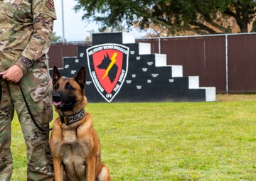 81st FSS and NCBC host demonstration for National K-9 Veterans Day.