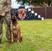 81st FSS and NCBC host demonstration for National K-9 Veterans Day.
