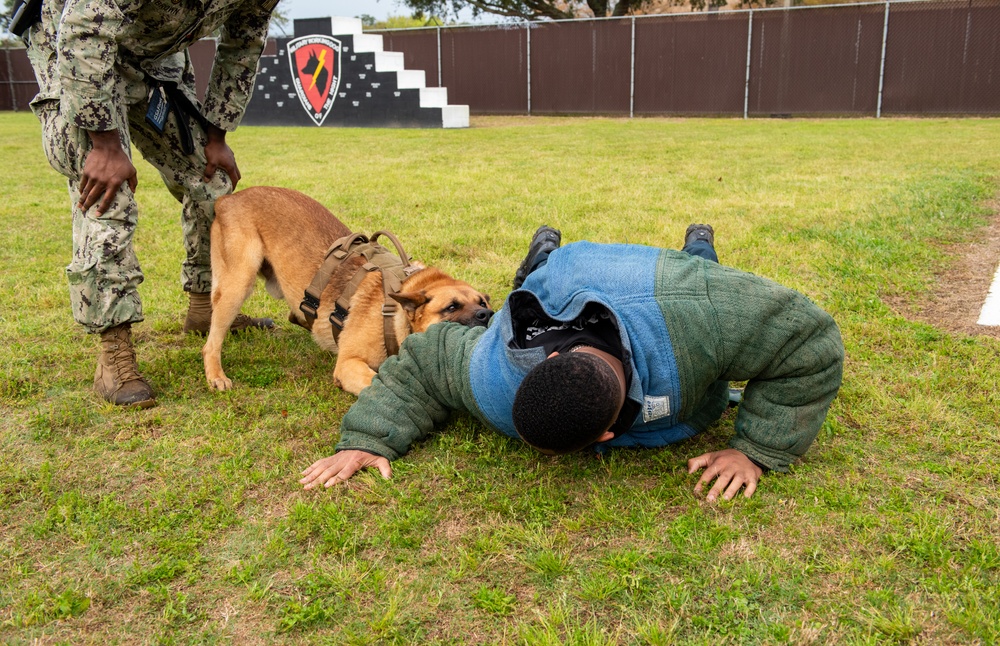 81st FSS and NCBC host demonstration for National K-9 Veterans Day.
