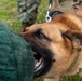 81st FSS and NCBC host demonstration for National K-9 Veterans Day.