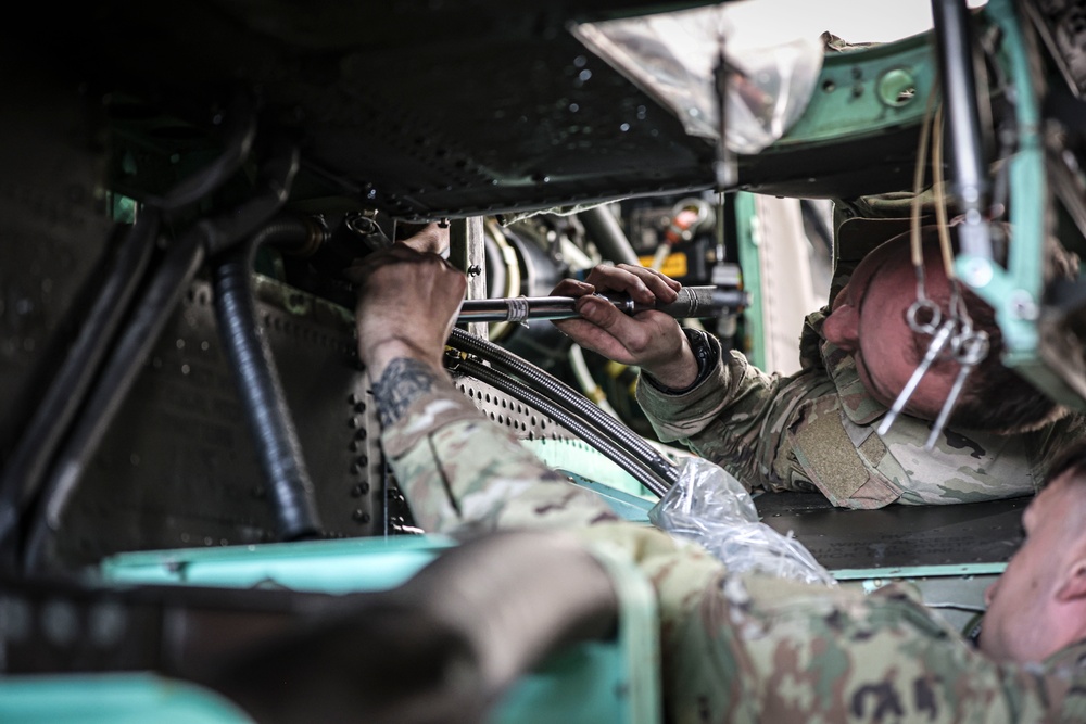 D Trp Maintainers at Work