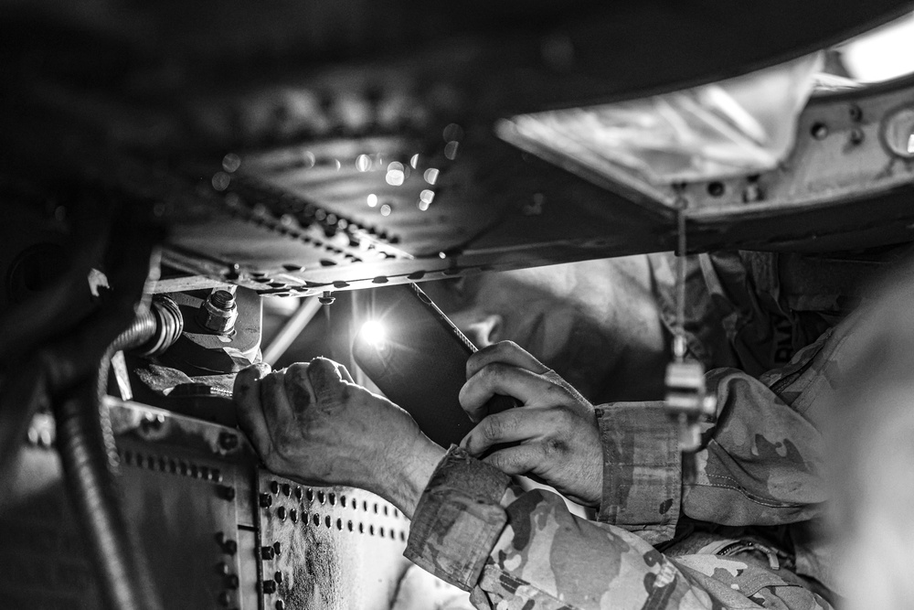 D Trp Maintainers at Work