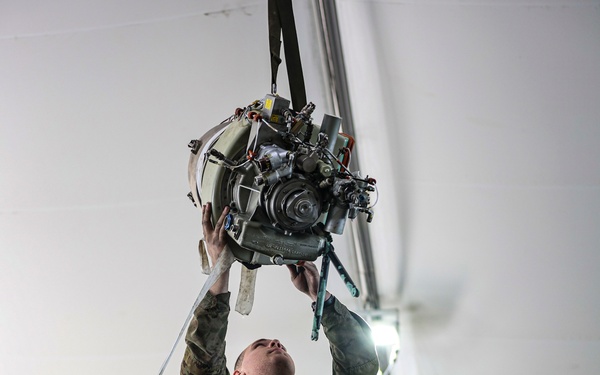 D Trp Maintainers at Work