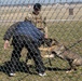 509th SF trains working dogs