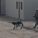 Soldiers Conduct Urban Assault with Human Machine Integration at Project Convergence Capstone 4