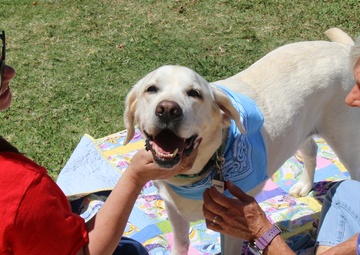 For the love of Canines