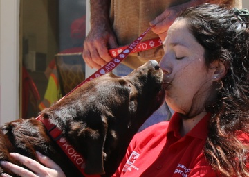 For the love of Canines