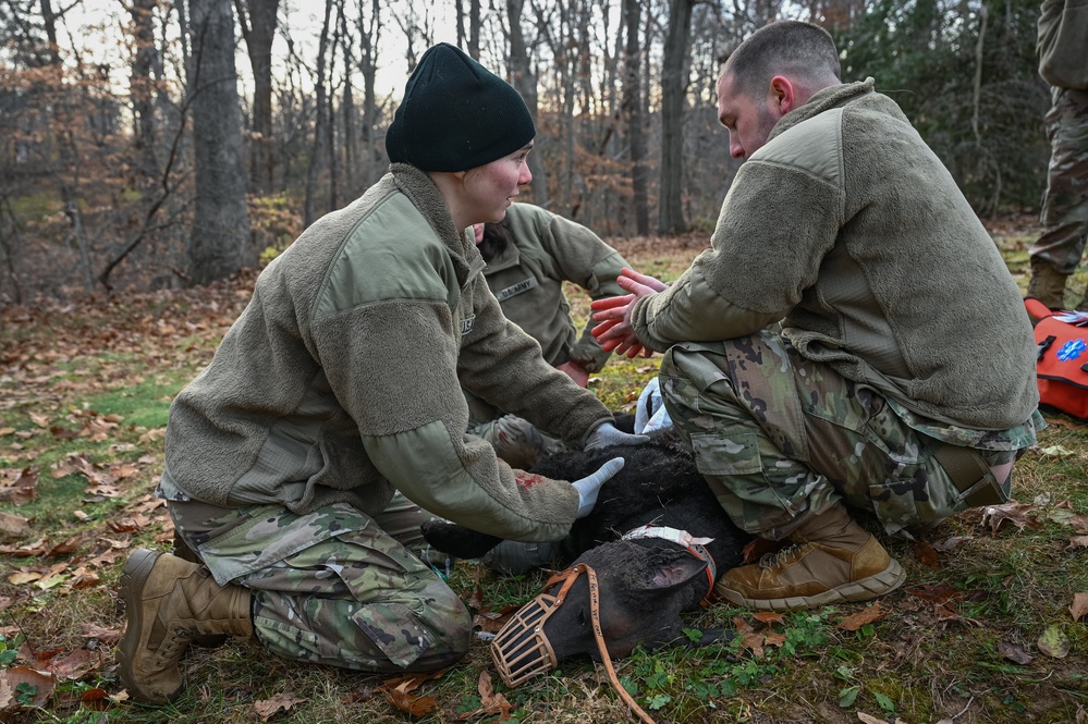 K9 Tactical Combat Casualty Care