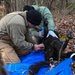 K9 Tactical Combat Casualty Care