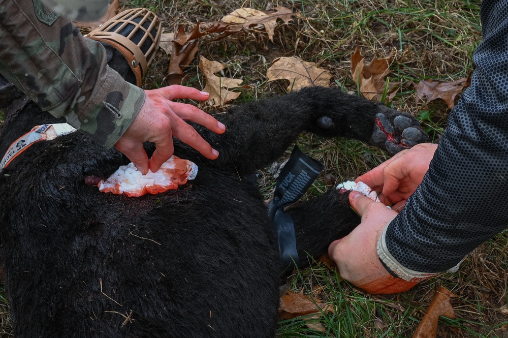 K9 Tactical Combat Casualty Care