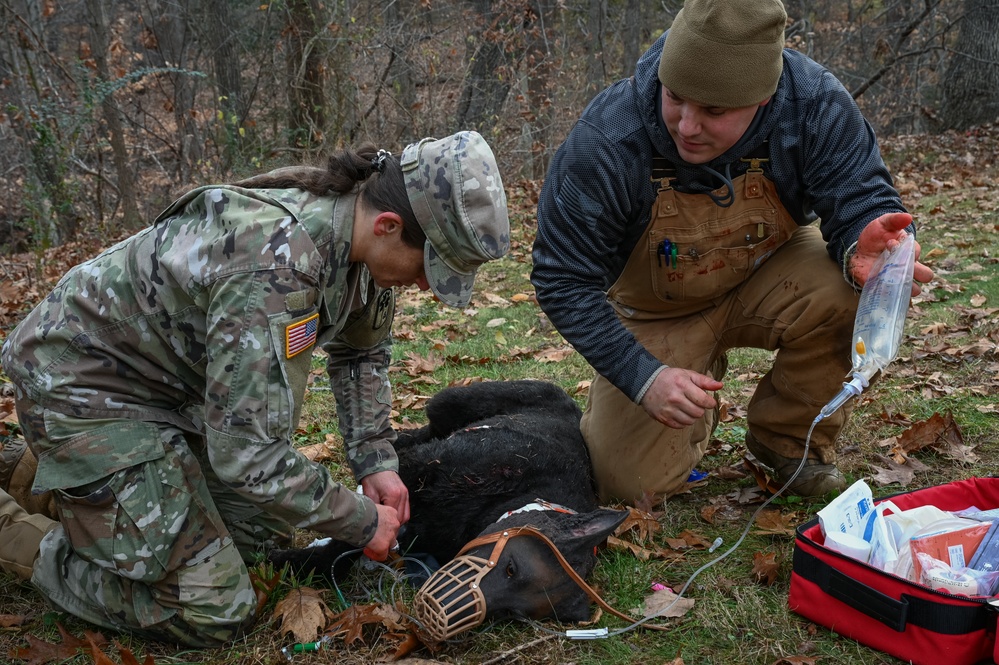 K9 Tactical Combat Casualty Care