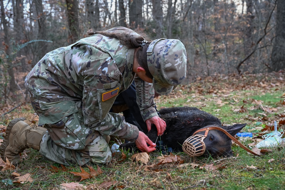 K9 Tactical Combat Casualty Care