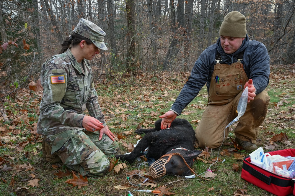 K9 Tactical Combat Casualty Care