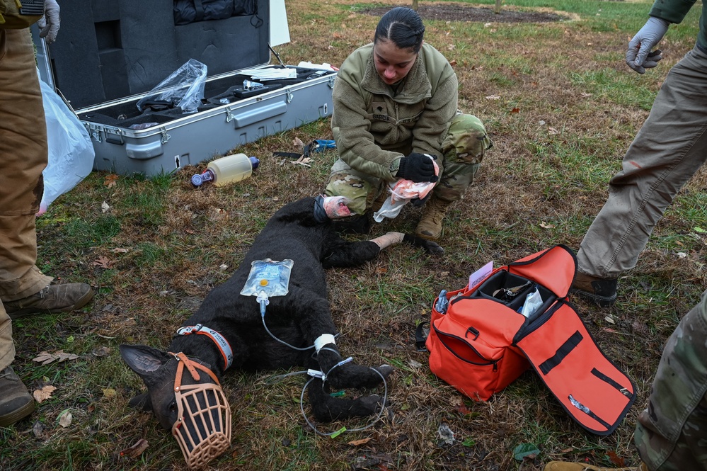 K9 Tactical Combat Casualty Care