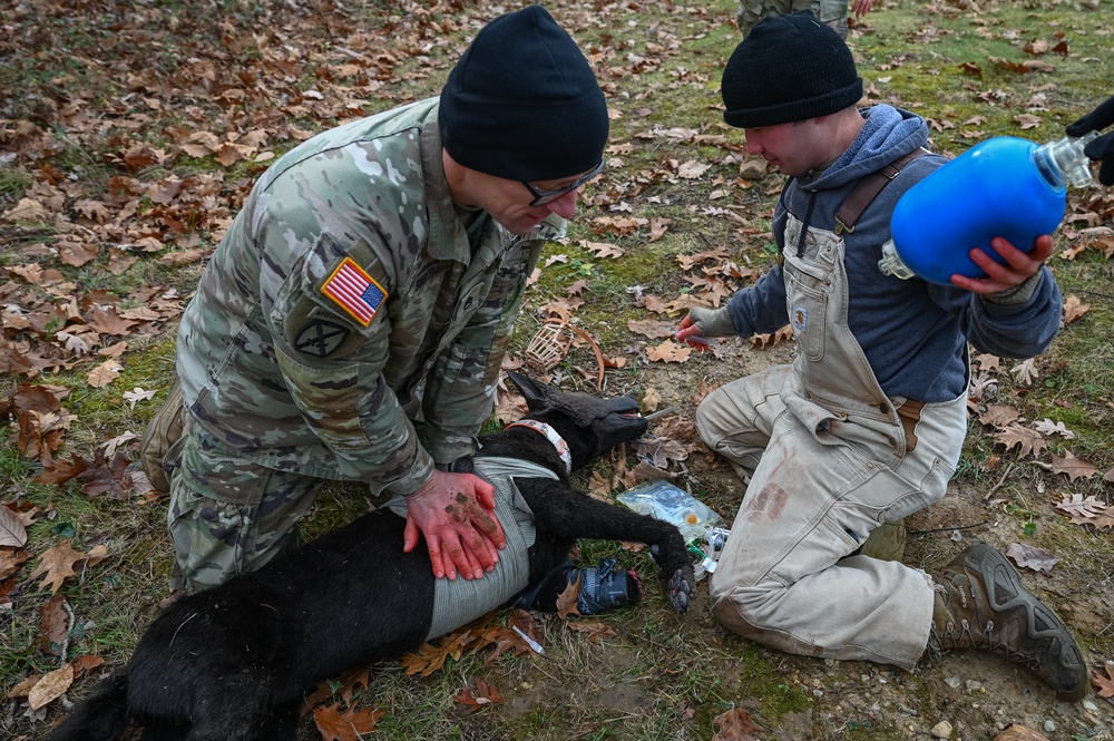 K9 Tactical Combat Casualty Care