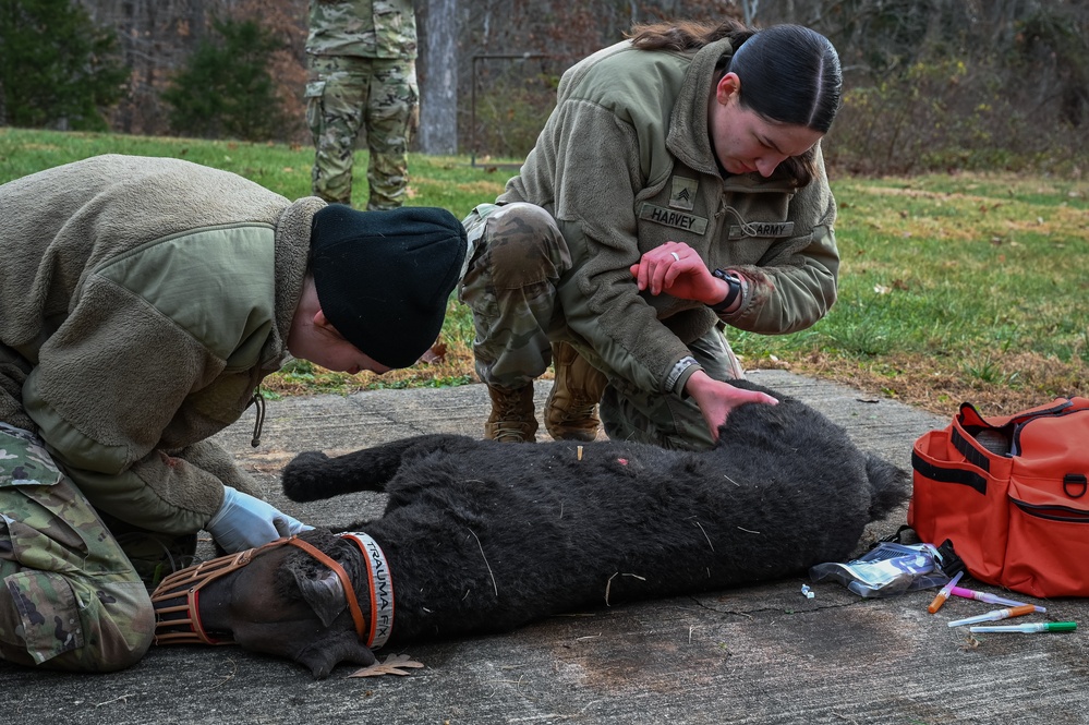 K9 Tactical Combat Casualty Care