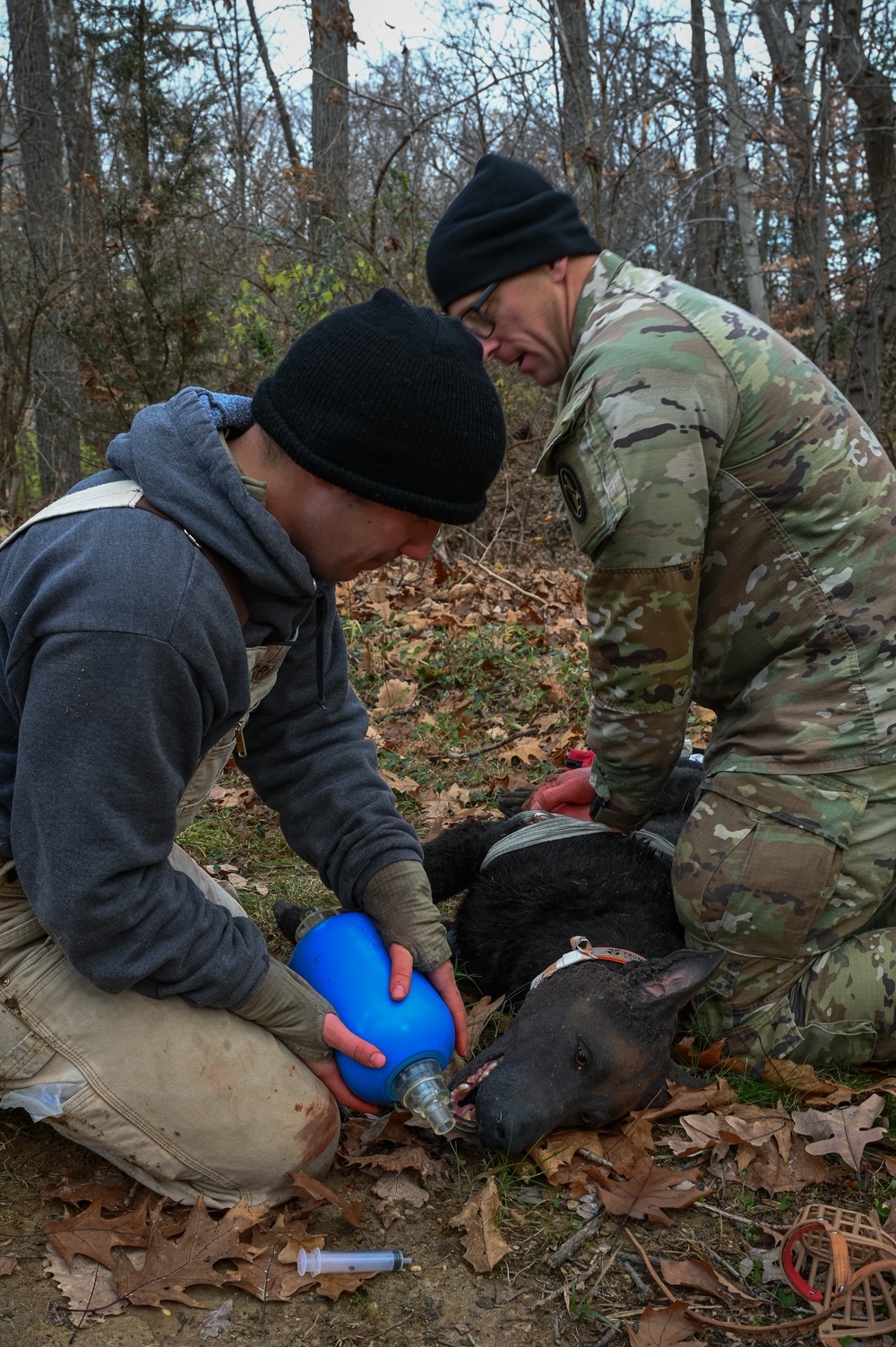 K9 Tactical Combat Casualty Care