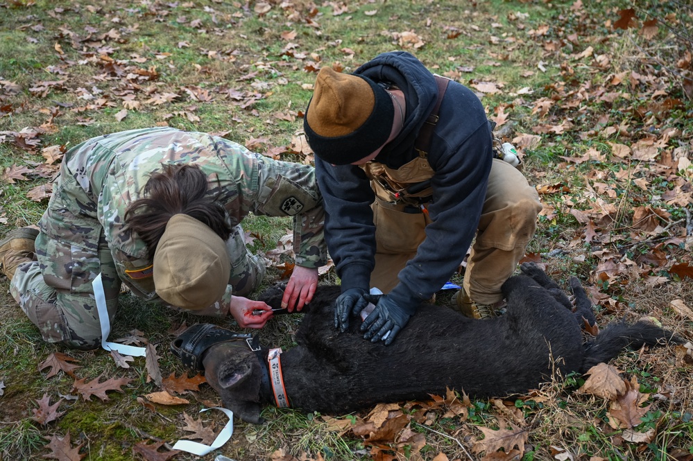 K9 Tactical Combat Casualty Care