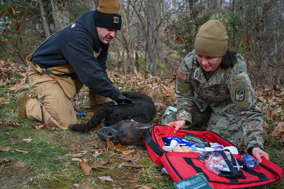 K9 Tactical Combat Casualty Care