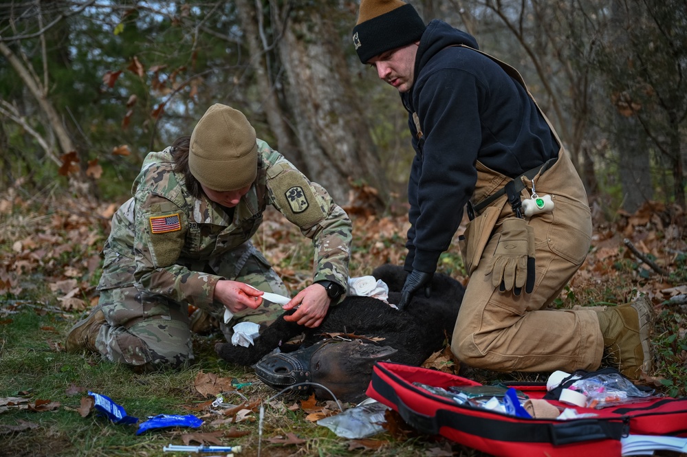 K9 Tactical Combat Casualty Care