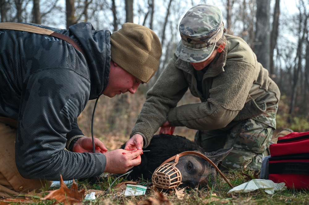 K9 Tactical Combat Casualty Care