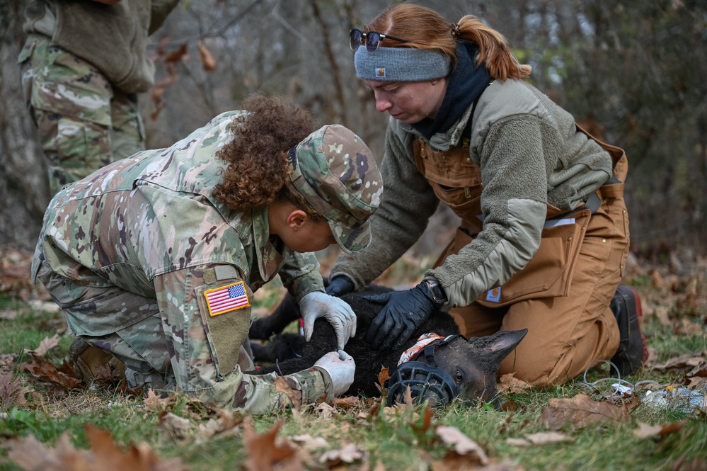 K9 Tactical Combat Casualty Care